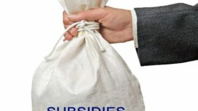Subsidies